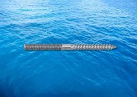 Dowel Screw With Left Thread A4 (316)