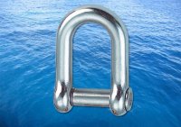Straight D Shackle With Hexagon Skt A4 (316)